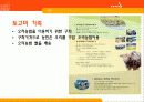 토고미마을에 대한 관광 농업프로그램 제작 4페이지