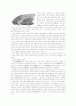 한국의 선사문화- 암각화 7페이지