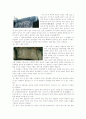 한국의 선사문화- 암각화 8페이지