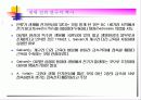 생체전기현상 3페이지