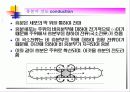 생체전기현상 16페이지