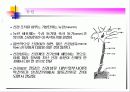 생체전기현상 20페이지