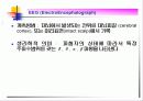 생체전기현상 27페이지