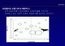 계획수립 8페이지