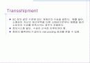 공급체인의 통합 13페이지