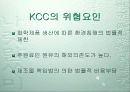 기업분석KCC 18페이지