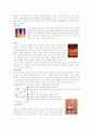 제품디자인에 대해서 6페이지