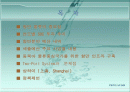 SOC – 항만물류 예산 분석 2페이지
