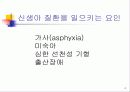 신생아의 생리 4페이지