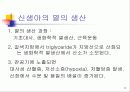 신생아의 생리 8페이지