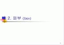 신생아의 생리 9페이지