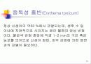 신생아의 생리 13페이지