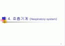 신생아의 생리 17페이지