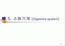신생아의 생리 20페이지