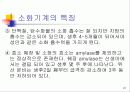 신생아의 생리 22페이지