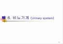 신생아의 생리 24페이지