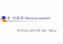 신생아의 생리 28페이지