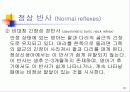 신생아의 생리 30페이지