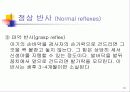신생아의 생리 31페이지