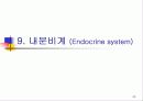 신생아의 생리 35페이지