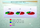 청소년 이성교제실태에 관한 연구 10페이지