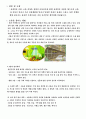 소음측정 5페이지