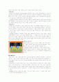 유아 교육 사이트 비교 7페이지