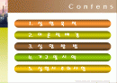 2족 양이온의 정성 분석 2페이지