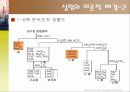 2족 양이온의 정성 분석 5페이지