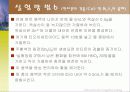2족 양이온의 정성 분석 16페이지
