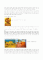 [예체능] Vincent van Gogh 6페이지
