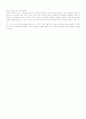 piaget 인지발달이론 4페이지