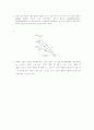 수요와 공급-시장과 경제적 후생 5페이지