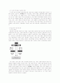 독일선거제도 (총괄,연방의회,주의회선거)분석 5페이지