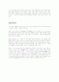  영상문화의 이해 13페이지