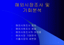 해외시장분석및 기회분석 1페이지