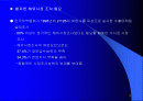 해외시장분석및 기회분석 2페이지
