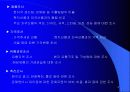 해외시장분석및 기회분석 5페이지