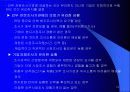 해외시장분석및 기회분석 10페이지