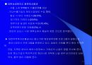 해외시장분석및 기회분석 11페이지