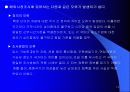 해외시장분석및 기회분석 13페이지