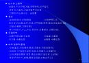 해외시장분석및 기회분석 17페이지