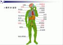 청소년기 흡연과 금연에 대한 연구 조사 6페이지