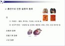 청소년기 흡연과 금연에 대한 연구 조사 7페이지