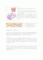 양수천자 11페이지