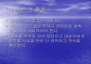 지역사회간호수단과 방법 15페이지