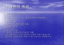 지역사회간호수단과 방법 25페이지