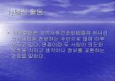 지역사회간호수단과 방법 35페이지