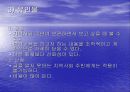 지역사회간호수단과 방법 43페이지