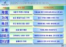  빈폴마케팅 전략과 브랜드 이미지/소비자 만족도에 관한 발표 28페이지